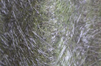 Horsleycross Street fibreglass roof work